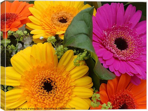 Bouquet of gerberas! Canvas Print by Paula Palmer canvas