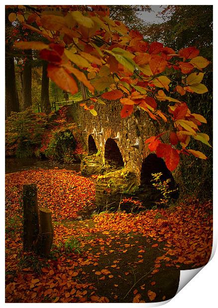 The colours of Autumn Print by pauline morris