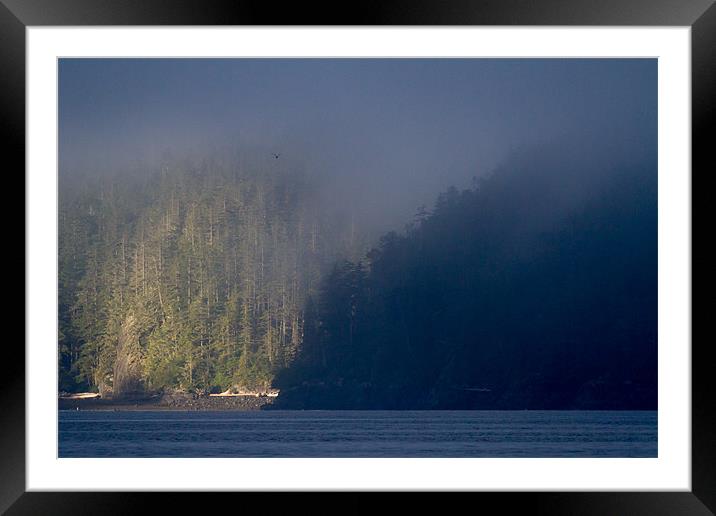 Morning mist in Knight Inlet Framed Mounted Print by Thomas Schaeffer