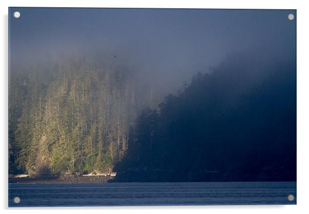 Morning mist in Knight Inlet Acrylic by Thomas Schaeffer