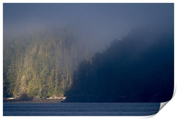 Morning mist in Knight Inlet Print by Thomas Schaeffer