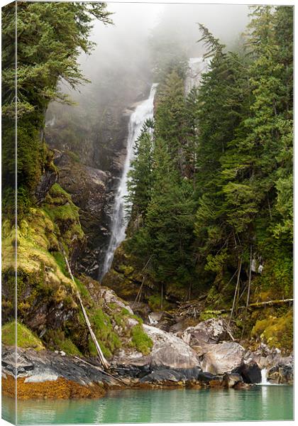 Waterfall in Knight Inlet Canvas Print by Thomas Schaeffer