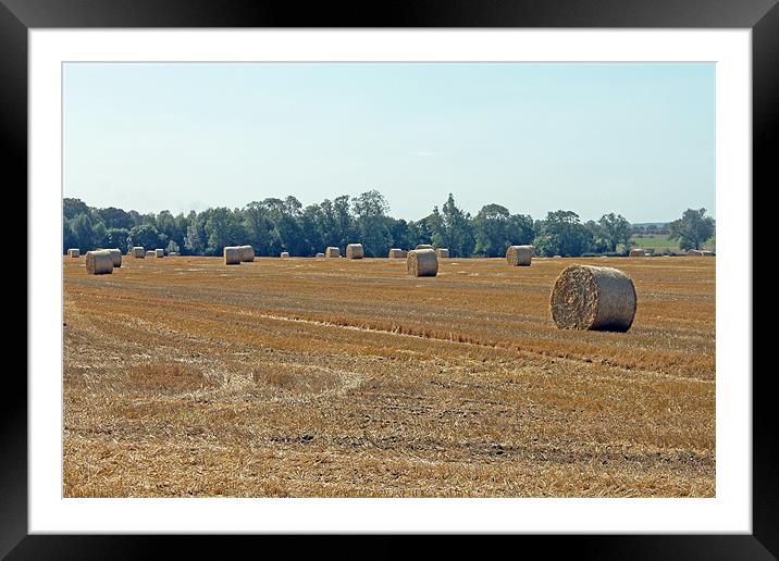 Bales of Hay Framed Mounted Print by Tony Murtagh