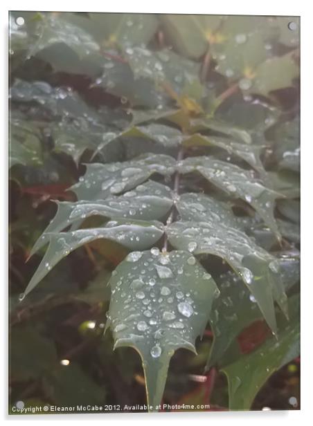 Seasonal Droplets! Acrylic by Eleanor McCabe