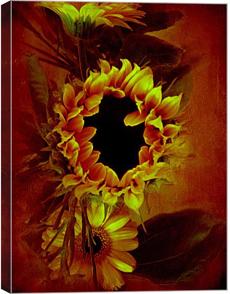 Sunflower,, Canvas Print by Debra Kelday
