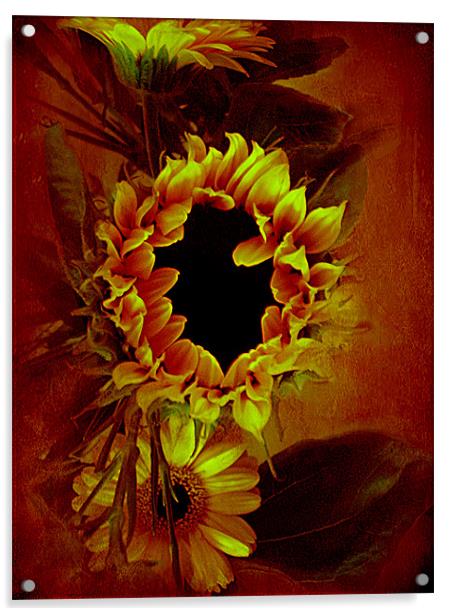 Sunflower,, Acrylic by Debra Kelday