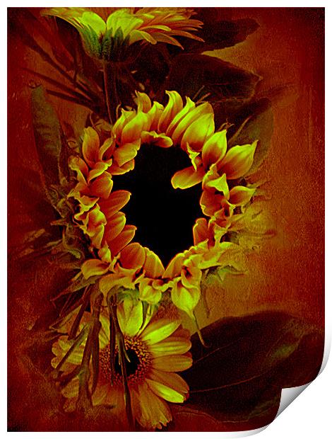 Sunflower,, Print by Debra Kelday