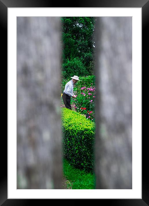 The Voyeur Gardener Framed Mounted Print by Rob Jones