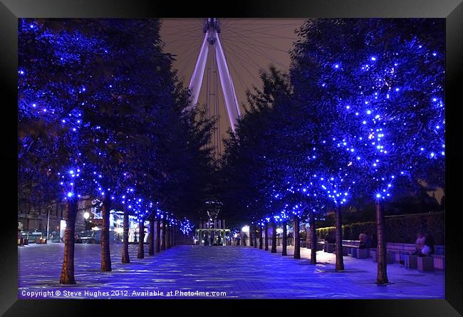 London Eye trees flooded Framed Print by Steve Hughes