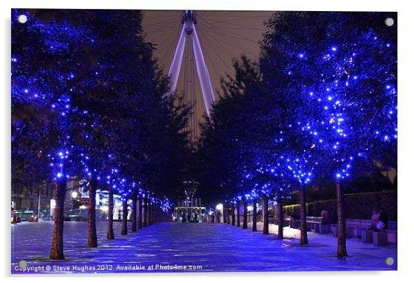 London Eye trees flooded Acrylic by Steve Hughes