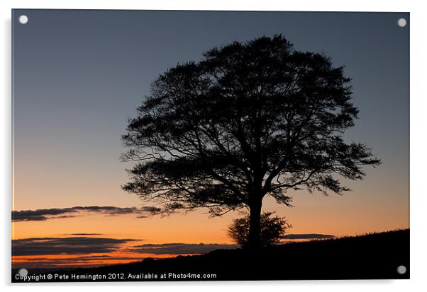 Lone tree at Sunset Acrylic by Pete Hemington