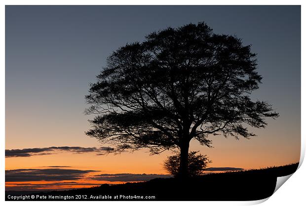 Lone tree at Sunset Print by Pete Hemington