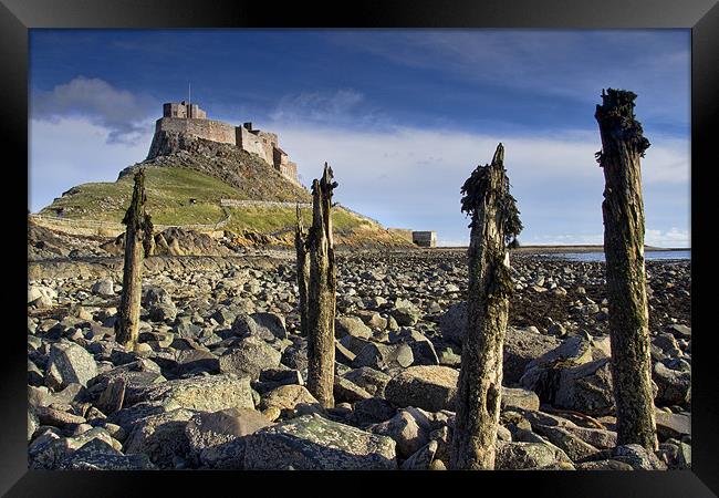 Lindisfarne Castle Framed Print by K7 Photography