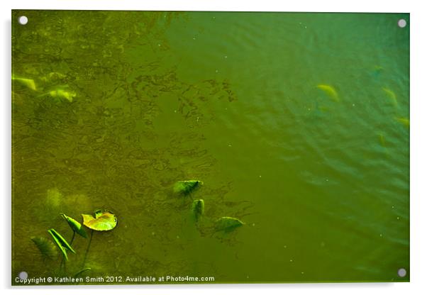 Green river Acrylic by Kathleen Smith (kbhsphoto)
