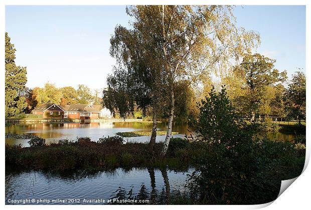 A Lakeside View Print by philip milner