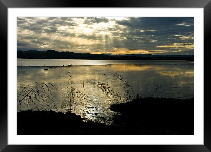 Black and Gold Sunset Framed Mounted Print by Jacqi Elmslie