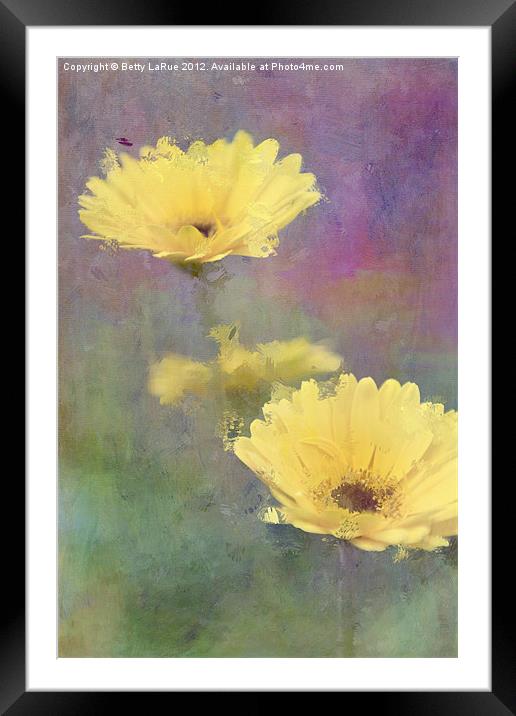 Happy Faces Framed Mounted Print by Betty LaRue