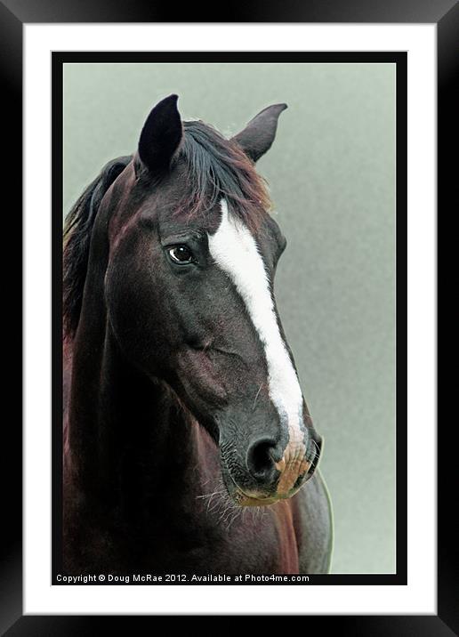 Horse Framed Mounted Print by Doug McRae