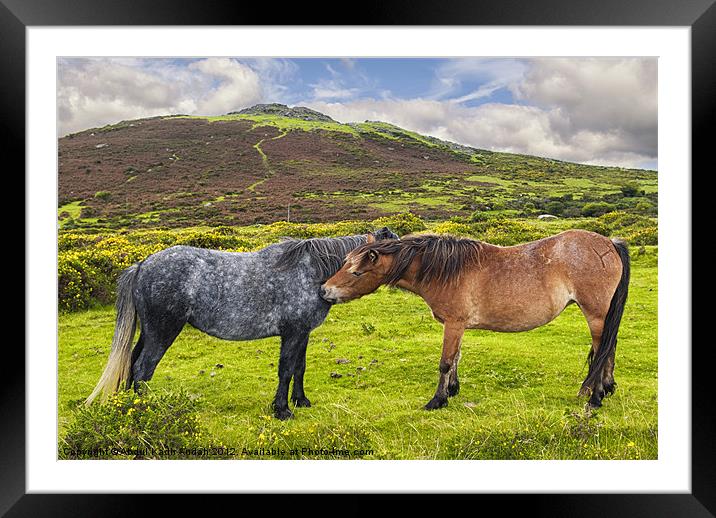 Dartmoor Lovers Framed Mounted Print by Abdul Kadir Audah