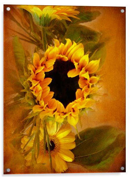 Sunflower,,, Acrylic by Debra Kelday