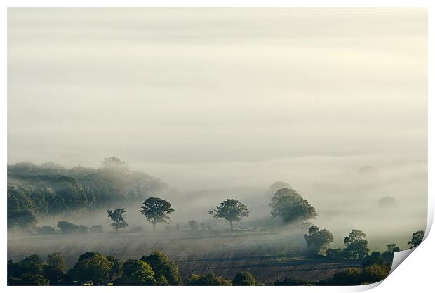 Misty Magic Print by David Dean