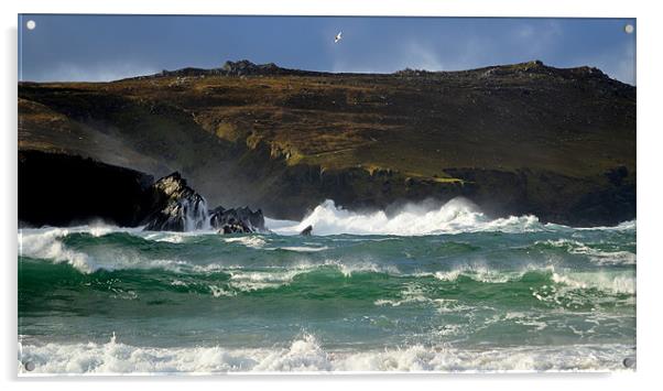 Clogher beach Acrylic by barbara walsh