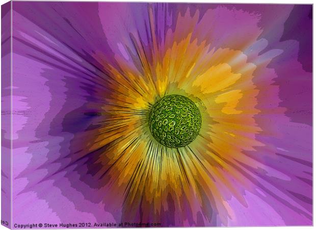 Anemone explosion art Canvas Print by Steve Hughes