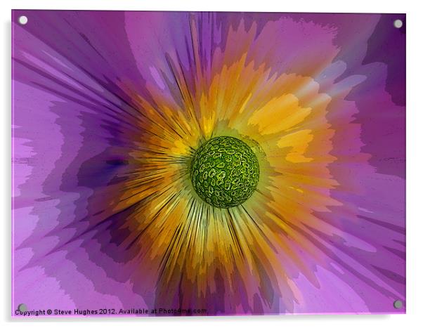 Anemone explosion art Acrylic by Steve Hughes