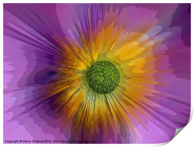 Anemone explosion art Print by Steve Hughes