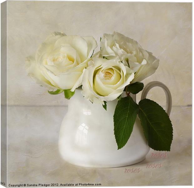 Roses Canvas Print by Sandra Pledger