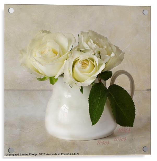 Roses Acrylic by Sandra Pledger