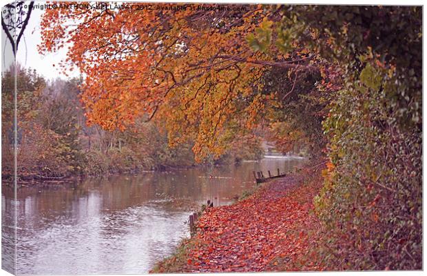 RIVER ITCHEN NAVIGATION IN AUTUMN Canvas Print by Anthony Kellaway