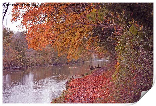 RIVER ITCHEN NAVIGATION IN AUTUMN Print by Anthony Kellaway