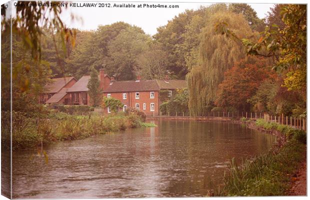 river itchen cottages Canvas Print by Anthony Kellaway
