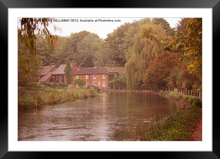 river itchen cottages Framed Mounted Print by Anthony Kellaway