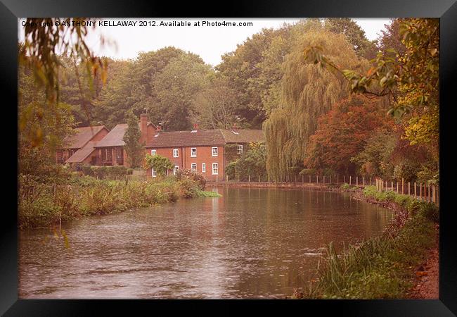 river itchen cottages Framed Print by Anthony Kellaway