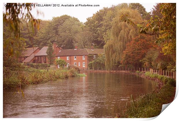 river itchen cottages Print by Anthony Kellaway