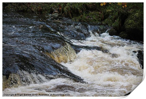 Flowing Fast Print by Nigel Barrett Canvas