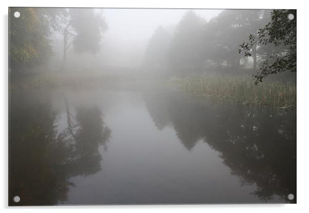 Morning Mist Over Pond Acrylic by Darren Watkinson