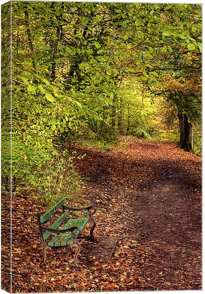 Autumn Bench Canvas Print by Pam Sargeant