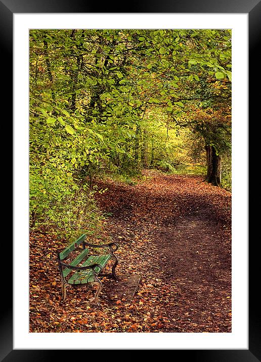 Autumn Bench Framed Mounted Print by Pam Sargeant