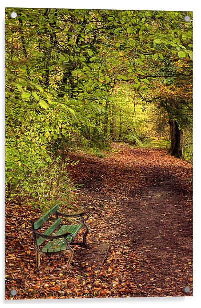 Autumn Bench Acrylic by Pam Sargeant