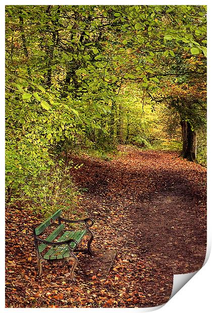 Autumn Bench Print by Pam Sargeant