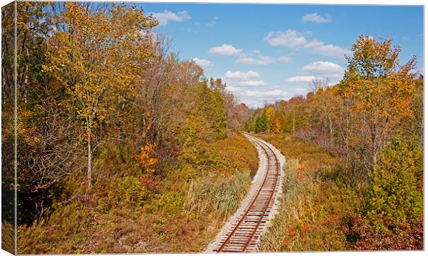 Autumn railroad Canvas Print by jane dickie