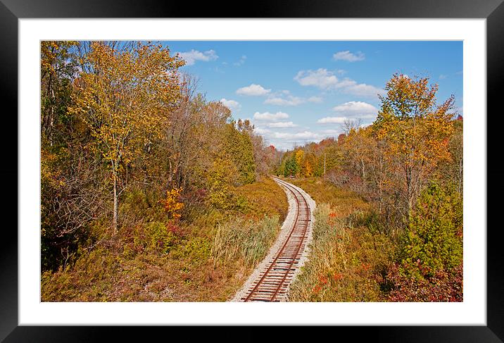 Autumn railroad Framed Mounted Print by jane dickie