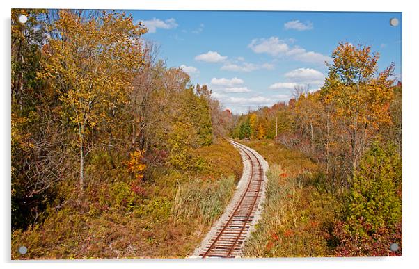 Autumn railroad Acrylic by jane dickie