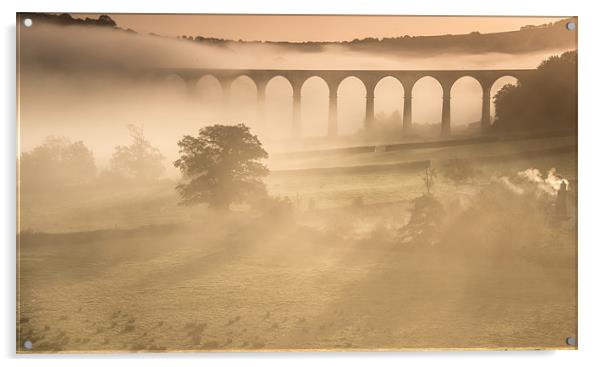 Autumnal morning, Calstock Viaduct Acrylic by nigel allison