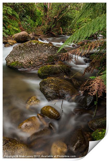 Mountain Creek Print by Mark Lucey