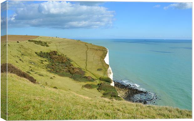 White Cliffs of Dover Kent Canvas Print by Diana Mower
