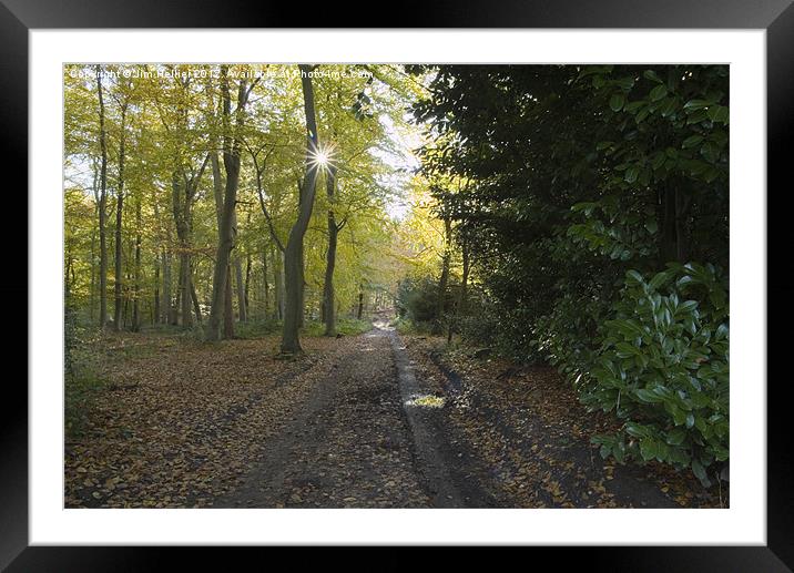 Bottom wood Chiltern Hills Framed Mounted Print by Jim Hellier